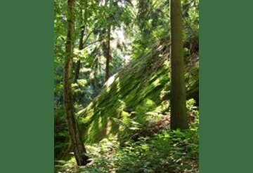 Schamanentum, Druidentum, Naturspiritualität ...Worum geht es hier wirklich?